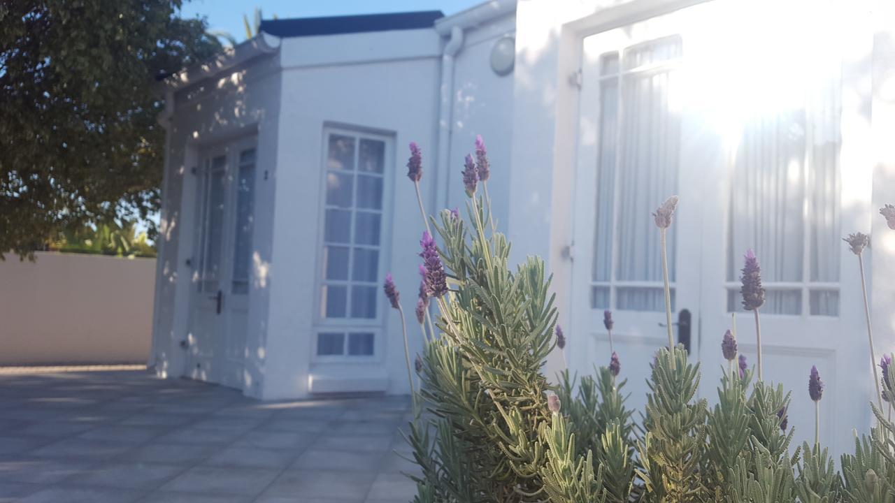 Blu Bed & Breakfast Port Elizabeth Exterior photo