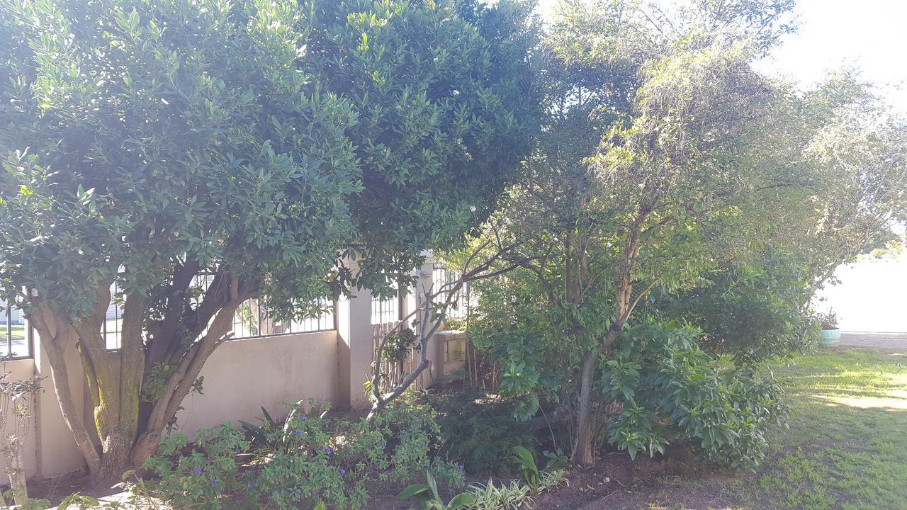 Blu Bed & Breakfast Port Elizabeth Exterior photo