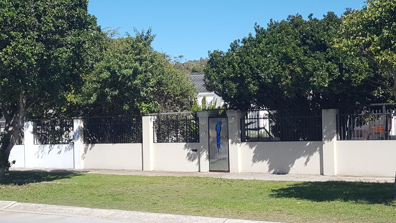 Blu Bed & Breakfast Port Elizabeth Exterior photo