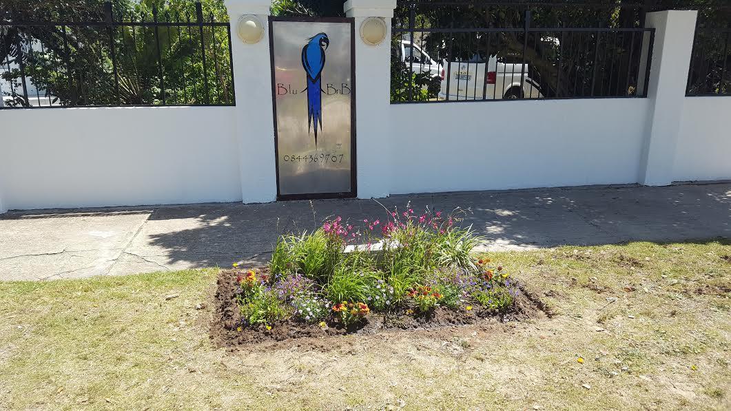 Blu Bed & Breakfast Port Elizabeth Exterior photo